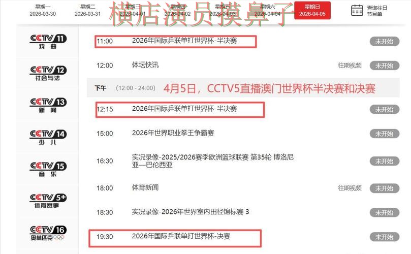 世界杯直播来临，世界杯投注网站大全玩法指南+直播与平台选择全面分析